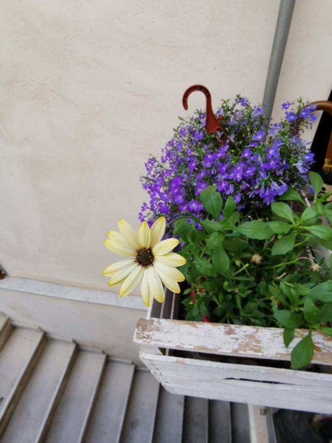 Casuzzamia Apartment Palermo Exterior foto
